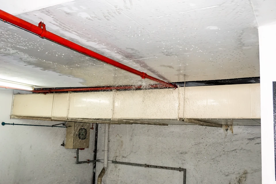 Ouvrier en uniforme beige et casquette orange installe un système d'arrosage automatique dans un jardin paysager